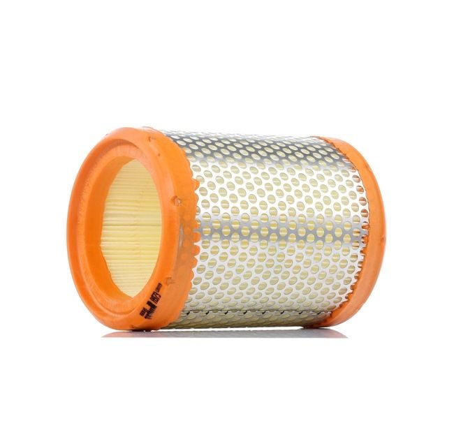 Filtro De Aire C-1460 DGP 1