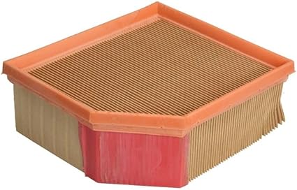 Filtro De Aire C-1995 DGP 1