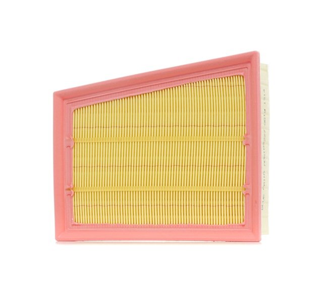 Filtro De Aire C-2030 DGP 1