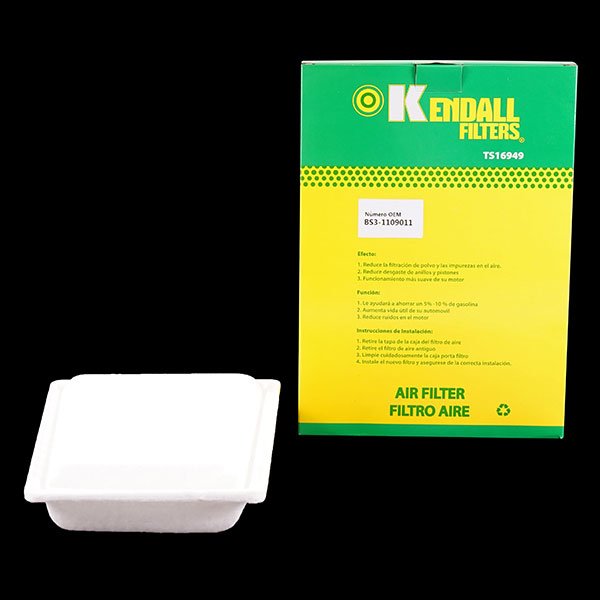 Filtro De Aire Joyear Kendall 1