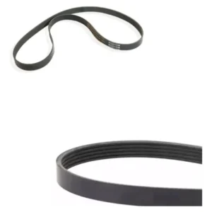 Correa 5PK-1195 Mitsuba