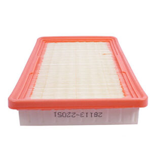 Filtro De Aire C-2559 DGP (Brilliance - Hyundai)