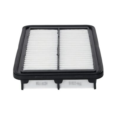 Filtro De Aire C-22015 DGP