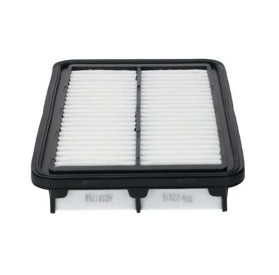 Filtro De Aire C-22015 DGP