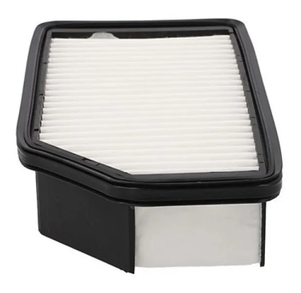 Filtro De Aire C-25013 Wix