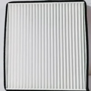 Filtro De Polen DFSK 560-580 (2017-2024) Kendall