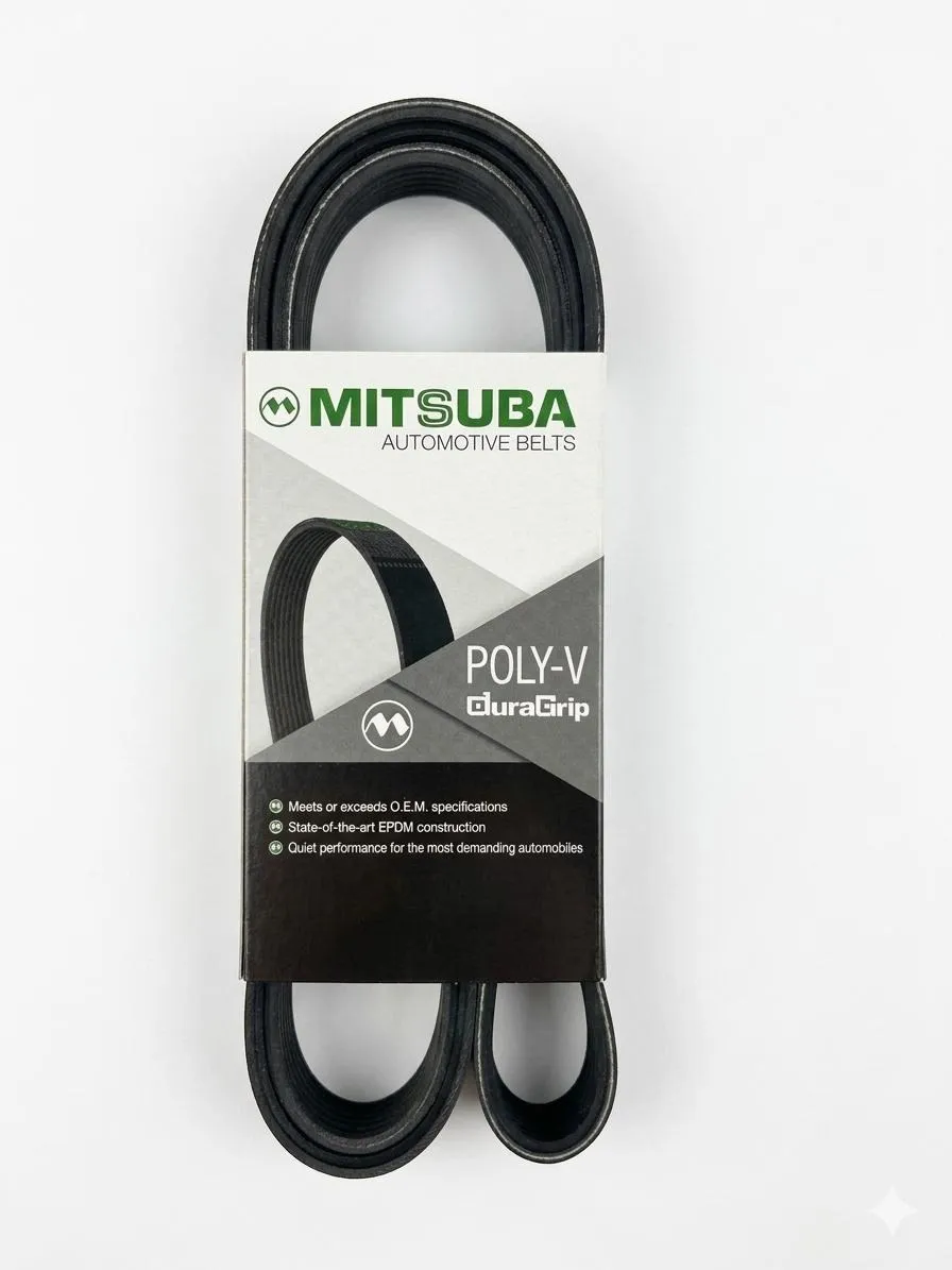 CORREA MITSUBA 1
